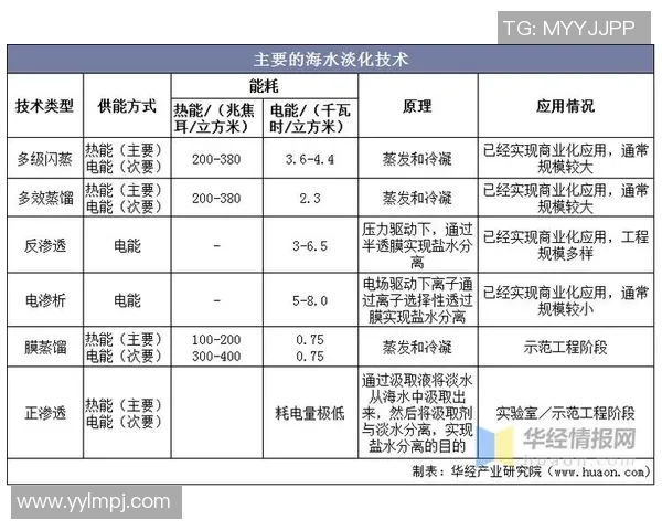 深圳足球队实力分析：聚焦球队发展与未来潜力探讨